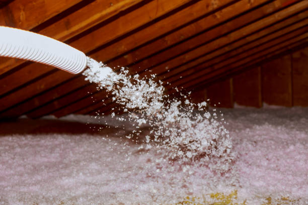 Best Crawl Space Insulation  in North Cape May, NJ